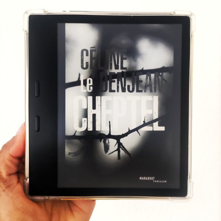 Photo du livre sur kindle